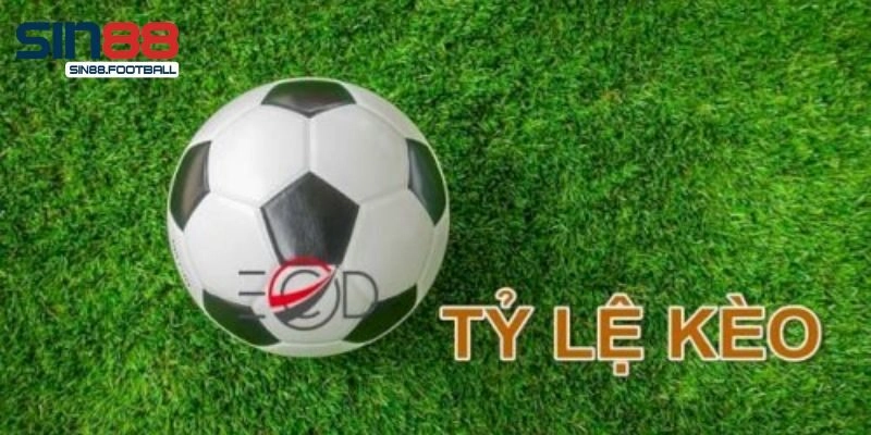 Bạn mới cách tính tỷ lệ kèo chấp