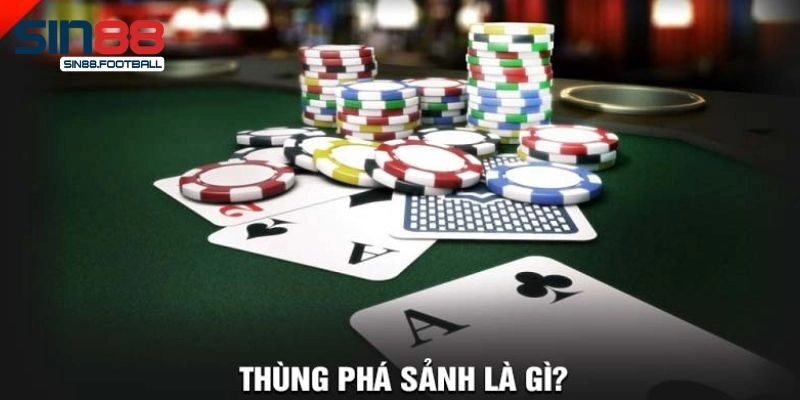 Thùng Phá Sảnh Sin88 – Mọi Thông Tin Quan Trọng Bạn Cần Nắm Rõ
